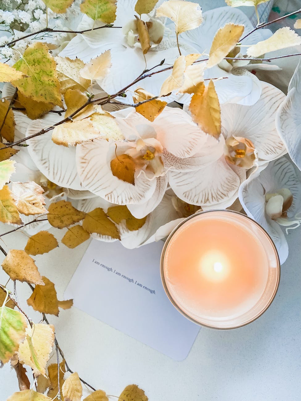 THE POWER OF MORNING AND EVENING RITUALS